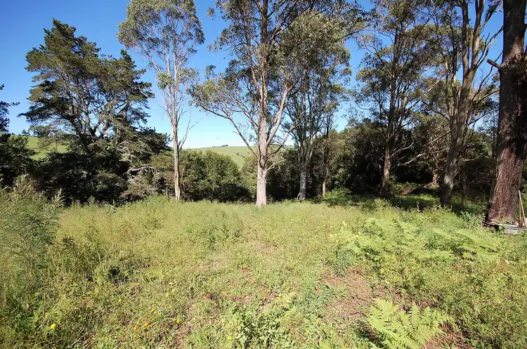 Second view of Homely land listing, 23 Hollibone St, Dorrigo NSW 2453