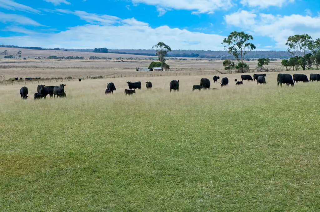 Main view of Homely rural property listing, 662 TRELOARS ROAD, CONDAH via, Hamilton VIC 3300