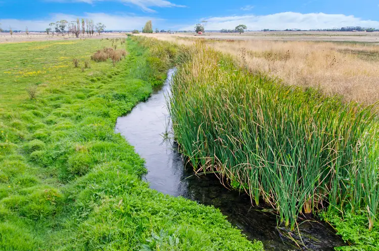Second view of Homely rural property listing, 662 TRELOARS ROAD, CONDAH via, Hamilton VIC 3300