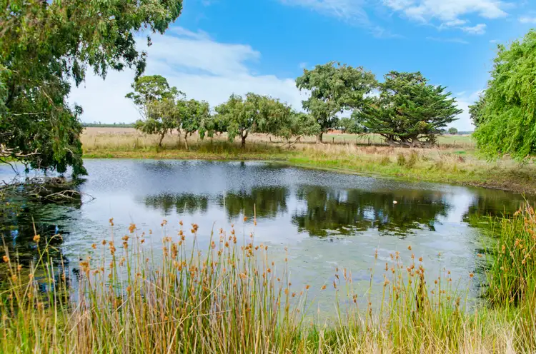 Third view of Homely rural property listing, 662 TRELOARS ROAD, CONDAH via, Hamilton VIC 3300