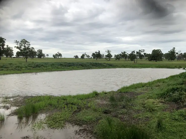 Sixth view of Homely rural property listing, 951 Dalrymple Creek Road, Talgai QLD 4362