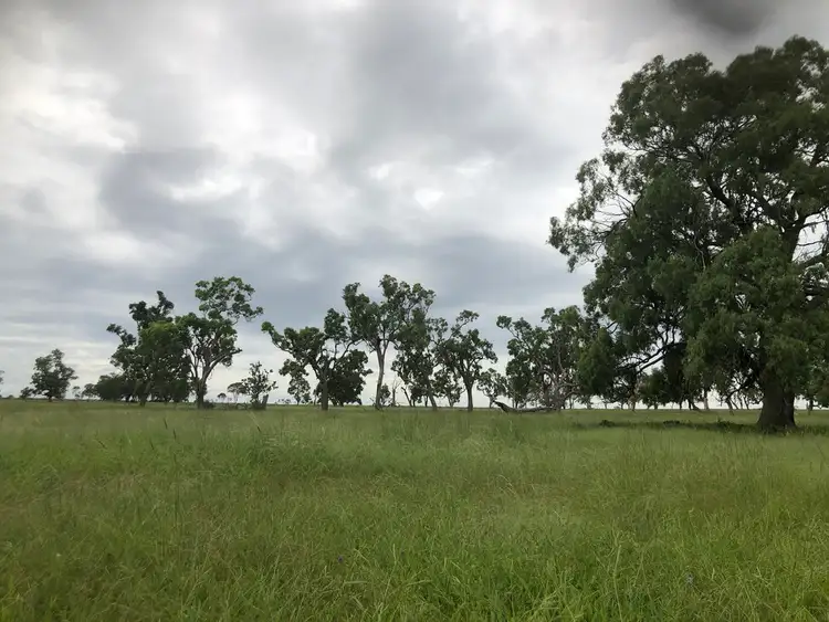 Seventh view of Homely rural property listing, 951 Dalrymple Creek Road, Talgai QLD 4362