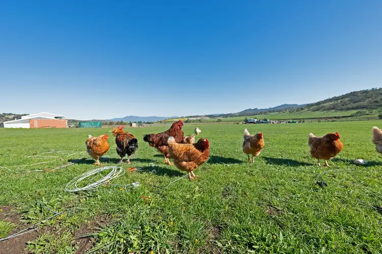 Sixth view of Homely rural property listing, 931 Tea Tree Road, Tea Tree TAS 7017