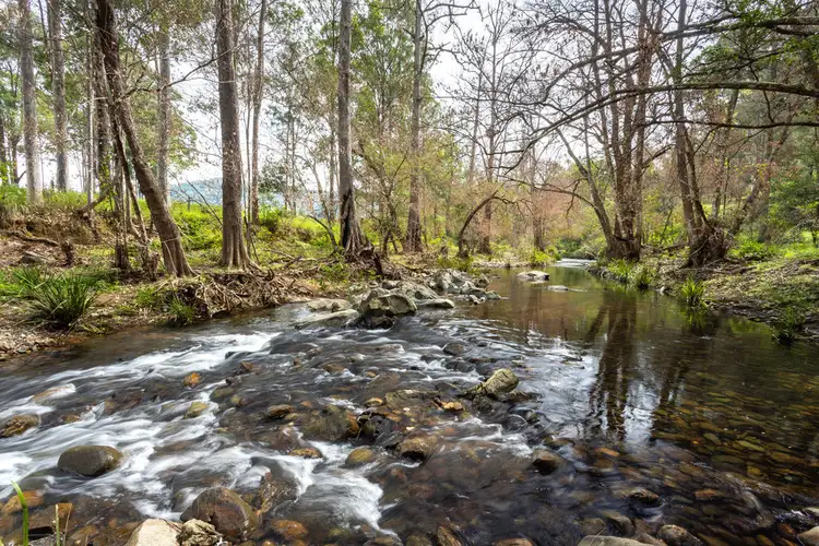 Main view of Homely rural property listing, 116 Mulligans Lane, Kimbriki NSW 2429