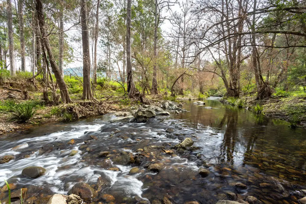 Main view of Homely rural property listing, 116 Mulligans Lane, Kimbriki NSW 2429