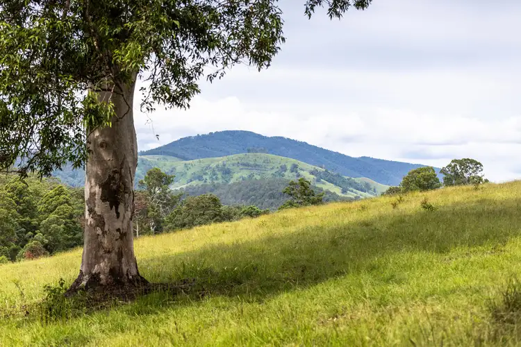 Fifth view of Homely rural property listing, 116 Mulligans Lane, Kimbriki NSW 2429
