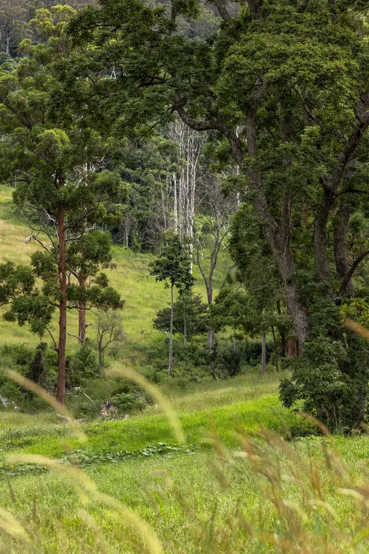 Sixth view of Homely rural property listing, 116 Mulligans Lane, Kimbriki NSW 2429