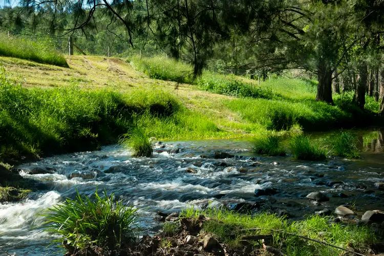 Third view of Homely rural property listing, 320 Bowman River Road, Gloucester NSW 2422