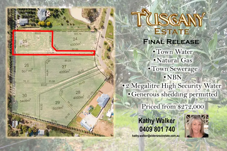 Lot 25 Manzanillo Avenue, Moama NSW 2731