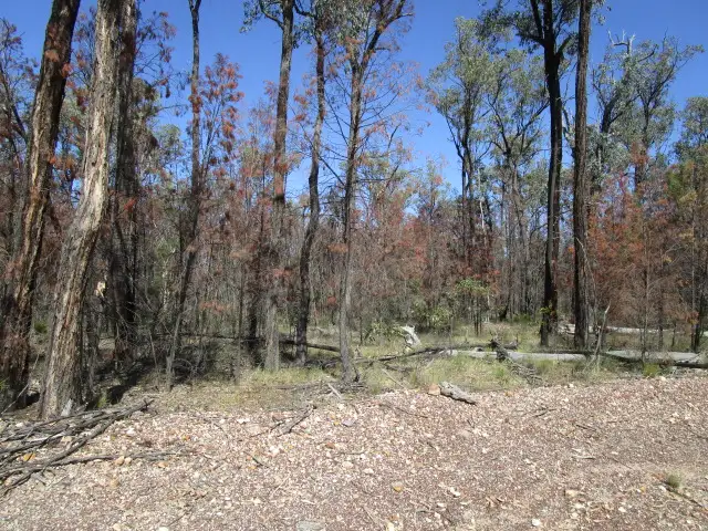 LOT 97 TIMOTHY ROAD, Tara QLD 4421