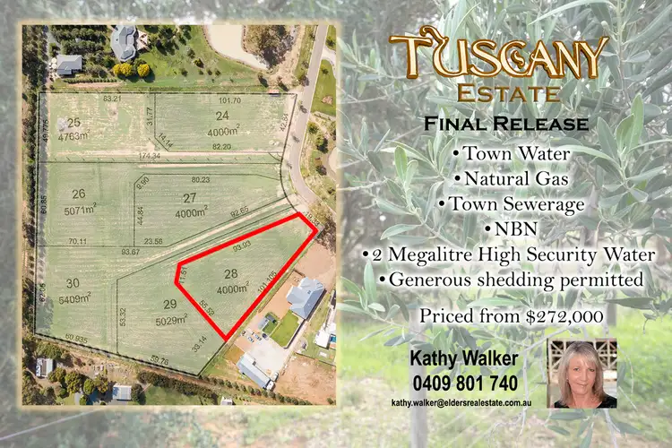 Lot 28 Manzanillo Avenue, Moama NSW 2731