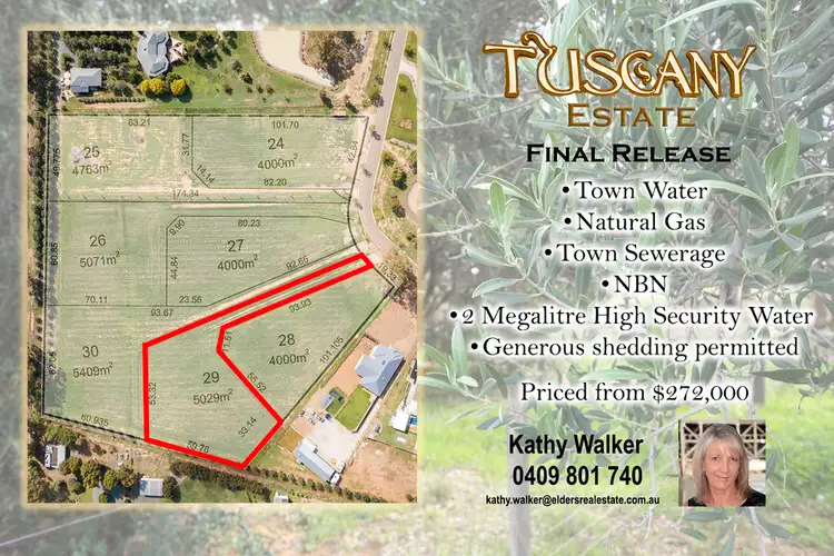 Lot 29 Manzanillo Avenue, Moama NSW 2731