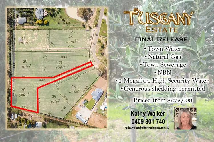 Lot 30 Manzanillo Avenue, Moama NSW 2731
