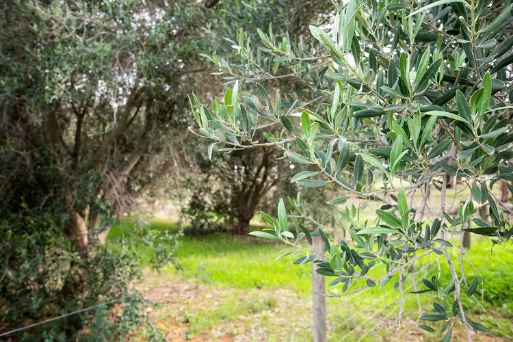 Fourth view of Homely land listing, Lot 27 Manzanillo Avenue, Moama NSW 2731