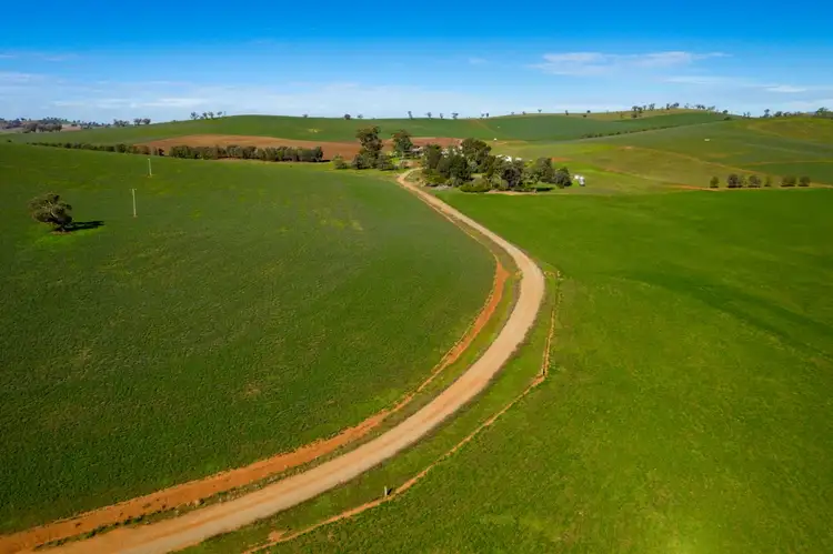 340 Kilrush Road, Cootamundra NSW 2590