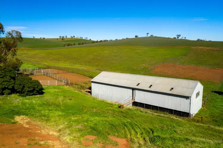 Sixth view of Homely rural property listing, 340 Kilrush Road, Cootamundra NSW 2590
