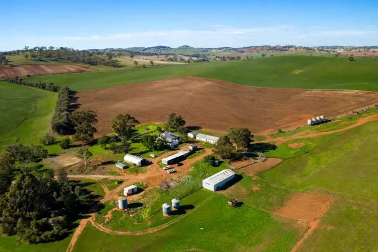 Seventh view of Homely rural property listing, 340 Kilrush Road, Cootamundra NSW 2590