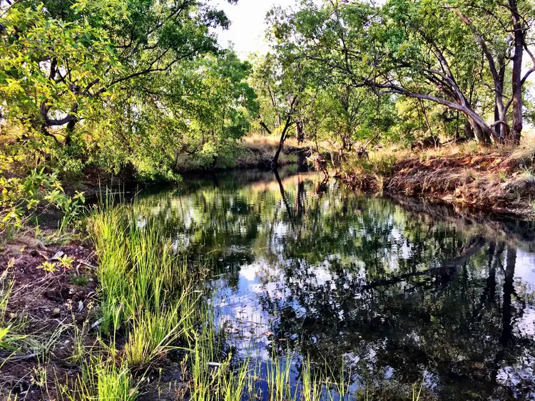 Second view of Homely rural property listing, 678 Edith Farms Rd, Katherine NT 850