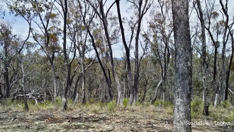 Sixth view of Homely land listing, Address available on request