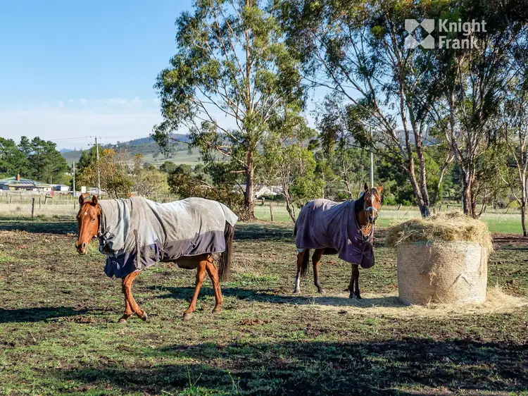 Fourth view of Homely house listing, 11 Greens Road, Orielton TAS 7172
