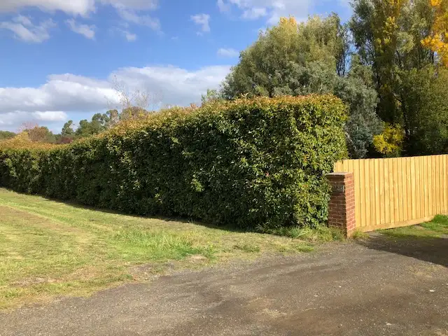 Second view of Homely land listing, Lot 2 102 Caffrey Street, Buninyong VIC 3357