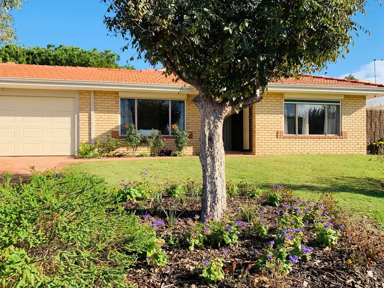 Main view of Homely house listing, 31 Navigator Drive, Singleton WA 6175