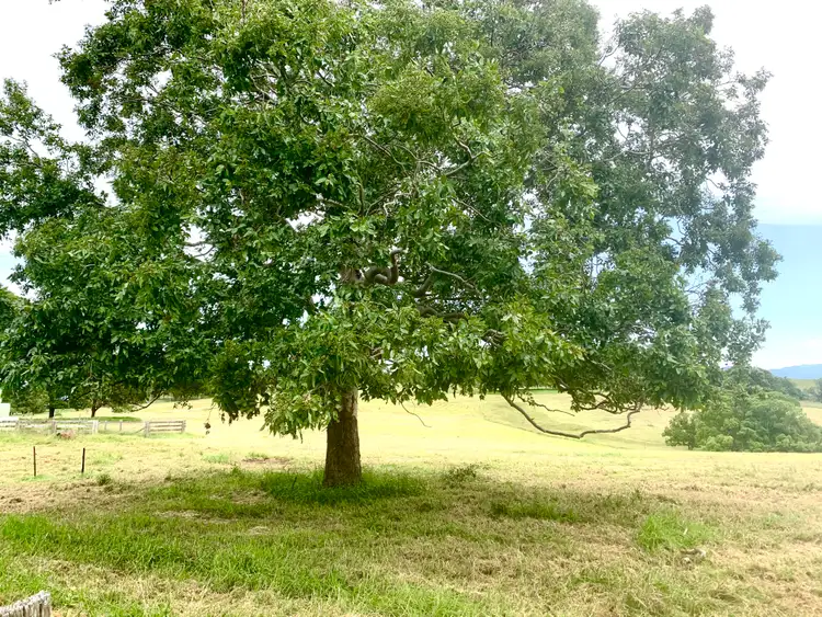 Fourth view of Homely land listing, Lot 2 262 Marys Bay Road, Euroka NSW 2440