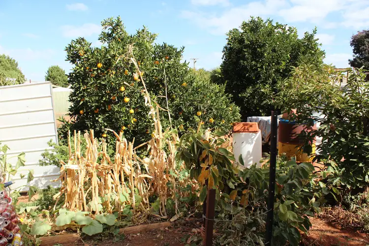 Seventh view of Homely house listing, 56 Bogadjim road, Robinvale VIC 3549