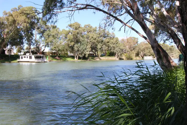 Main view of Homely house listing, 161 Darling Street, Wentworth NSW 2648