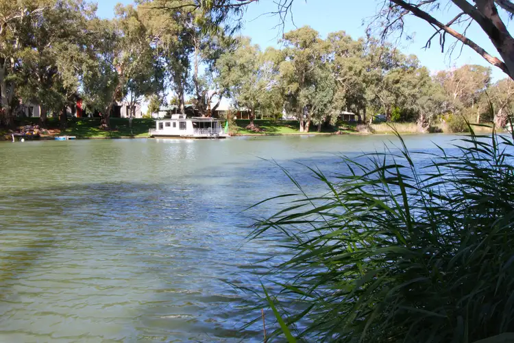 Seventh view of Homely house listing, 161 Darling Street, Wentworth NSW 2648