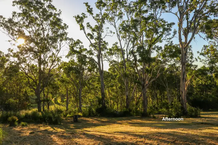 Main view of Homely land listing, 42 Albert Street, Moruya NSW 2537