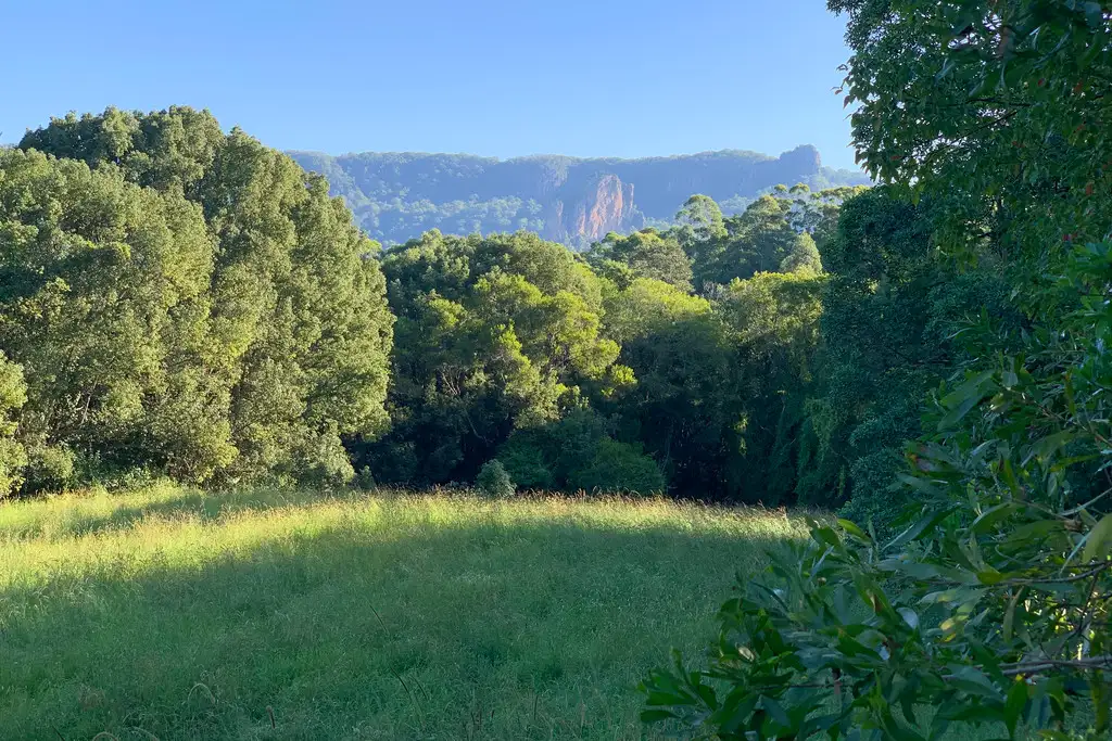 Main view of Homely land listing, 41 Falls Road, Nimbin NSW 2480