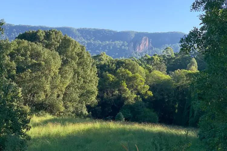 Fourth view of Homely land listing, 41 Falls Road, Nimbin NSW 2480