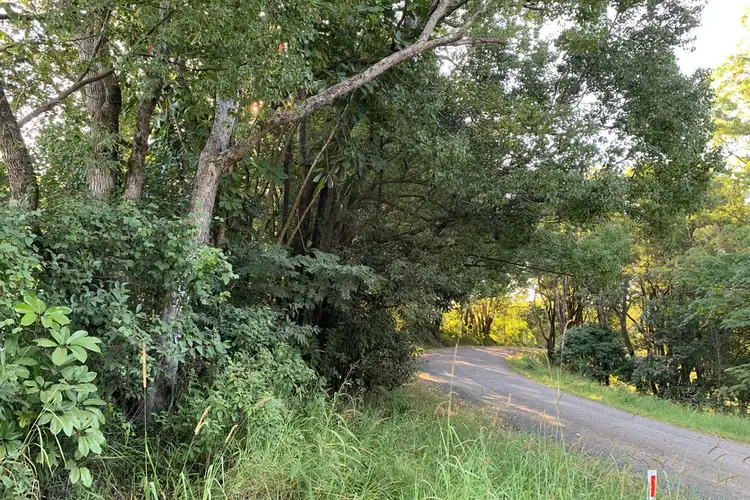 Seventh view of Homely land listing, 41 Falls Road, Nimbin NSW 2480
