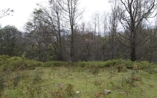 Lot 1 Pelham Road, Pelham TAS 7030