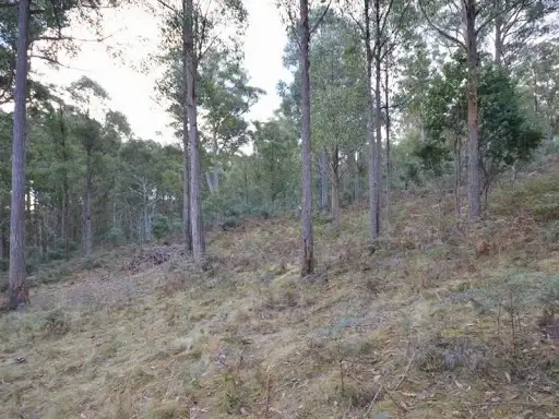 Third view of Homely land listing, Lot 1 Pelham Road, Pelham TAS 7030