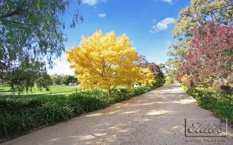 Third view of Homely rural property listing, 54 Pearces Road, Mandurang VIC 3551