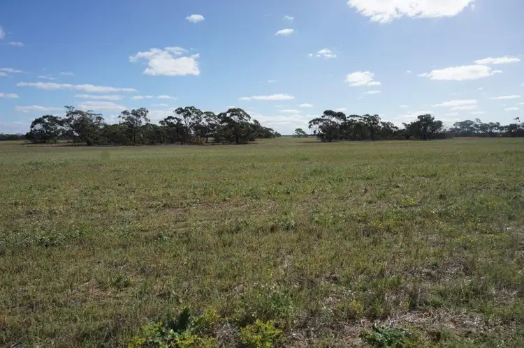 1028 Warro Road, Boothendarra WA 6521