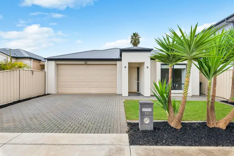 56 Maple Avenue, Royal Park SA 5014