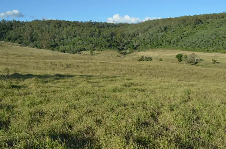 Fourth view of Homely rural property listing, 4325 New England Highway, Thornville QLD 4352