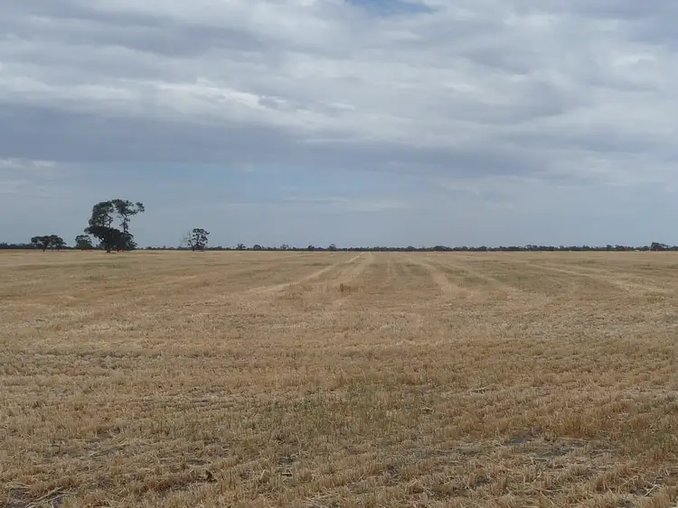 Fifth view of Homely rural property listing, 781 Leeor Road, Lillimur via, Kaniva VIC 3419