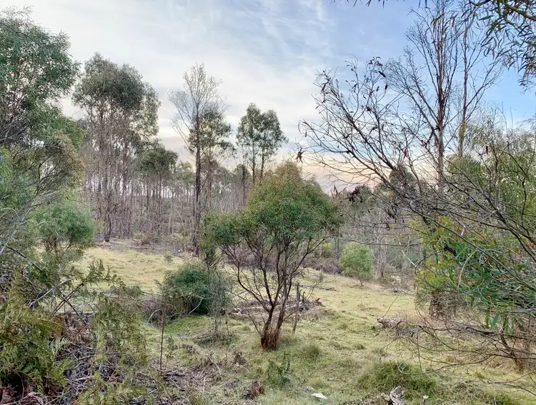 Sixth view of Homely land listing, Lot 1 Pipers River Road, Pipers River TAS 7252