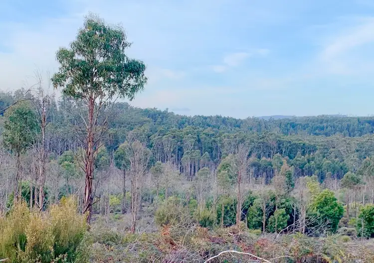 Seventh view of Homely land listing, Lot 1 Pipers River Road, Pipers River TAS 7252