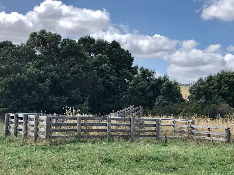 Sixth view of Homely rural property listing, - Cooriemungle Road, Timboon VIC 3268