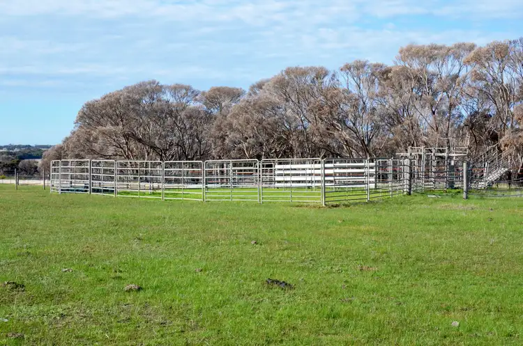 Main view of Homely rural property listing, Lot 20 SPRINGS ROAD, Wisanger SA 5223
