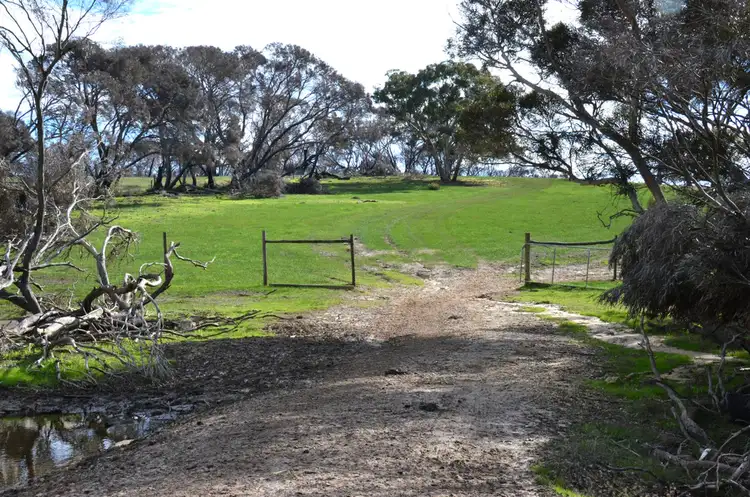 Second view of Homely rural property listing, Lot 20 SPRINGS ROAD, Wisanger SA 5223