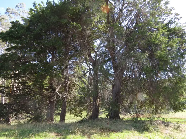 Fifth view of Homely rural property listing, 90 Williams Road, Wilmot TAS 7310