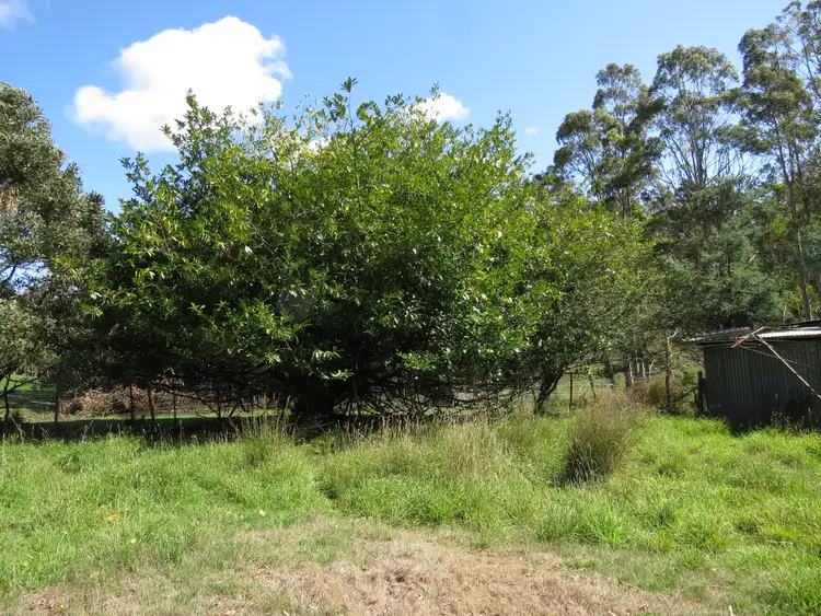 Sixth view of Homely rural property listing, 90 Williams Road, Wilmot TAS 7310