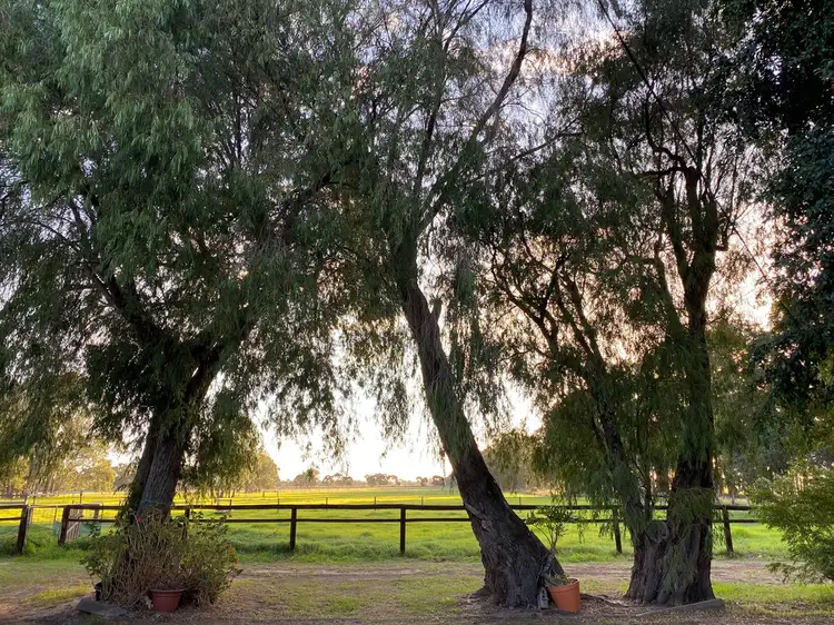 Sixth view of Homely rural property listing, 1054 Boyanup Road West, Boyanup WA 6237