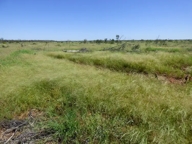 Third view of Homely rural property listing, Address available on request